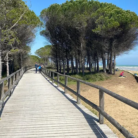 Apartment Wonderful With Terrace Bibione
